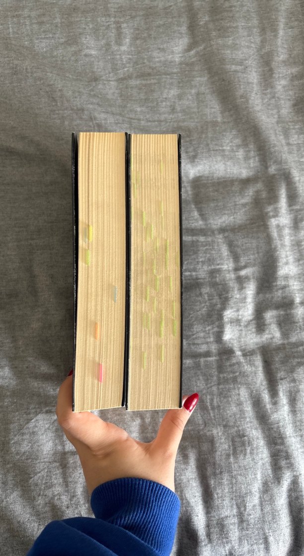 Binnur Şafak Niğiz - İçinde Bir Sen engerek-asreman - Görsel 2