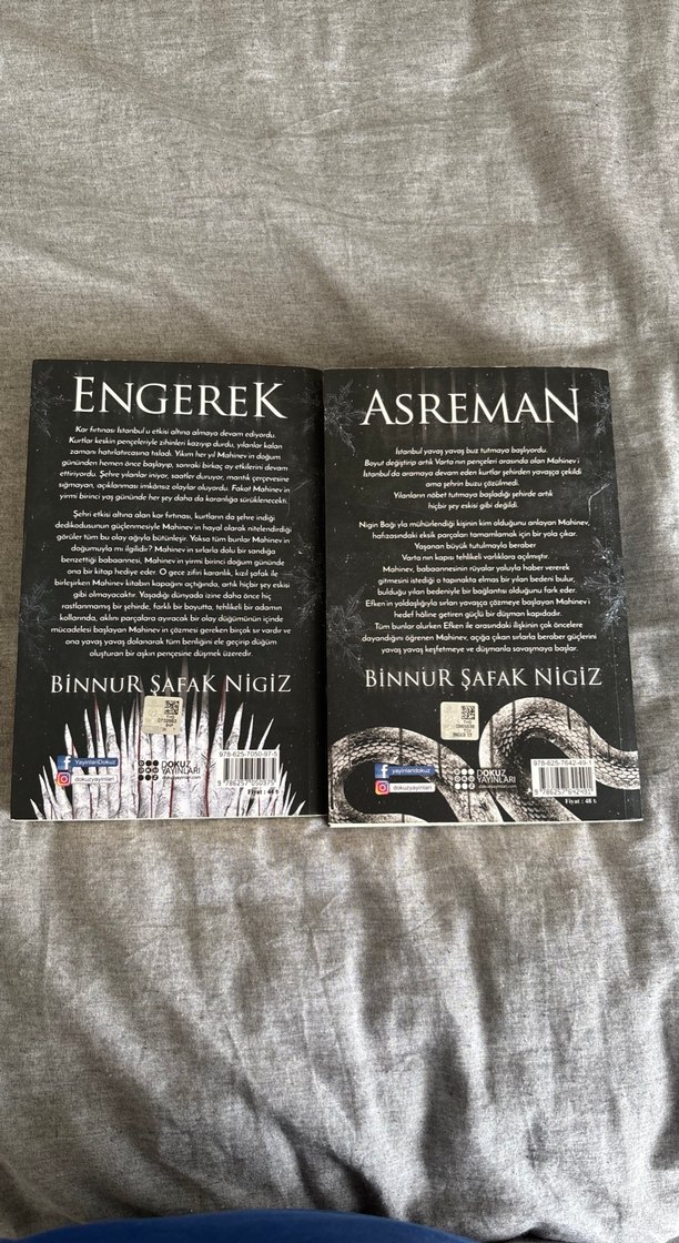 Binnur Şafak Niğiz - İçinde Bir Sen engerek-asreman - Görsel 3