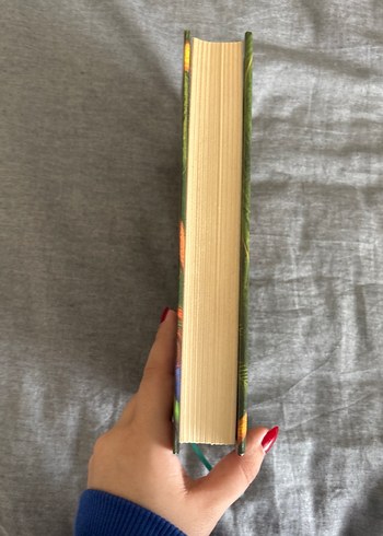 Yeşilin Kızı Anne 2 - E. N. Montgomery - Görsel 3