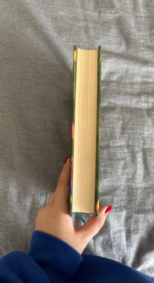 Yeşilin Kızı Anne 2 - E. N. Montgomery - Görsel 3