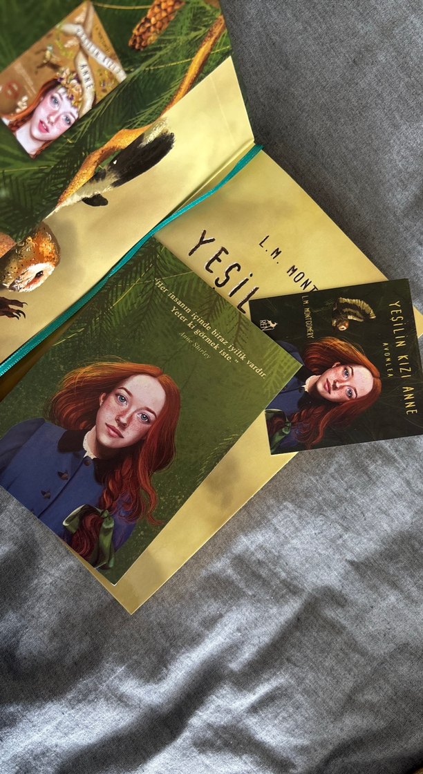 Yeşilin Kızı Anne 2 - E. N. Montgomery - Görsel 2