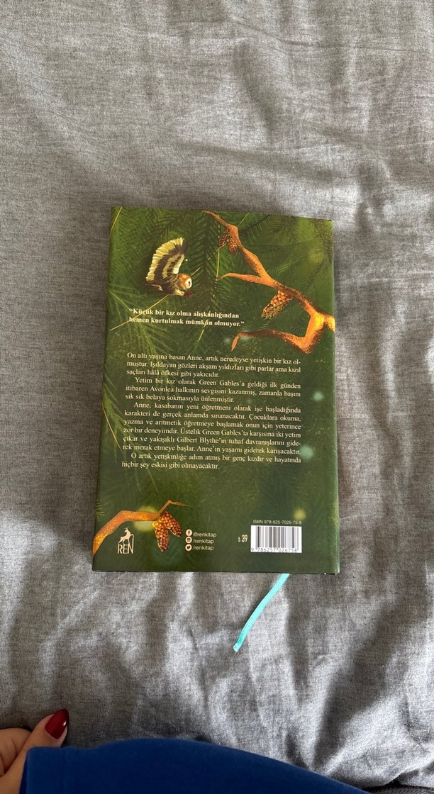 Yeşilin Kızı Anne 2 - E. N. Montgomery - Görsel 4