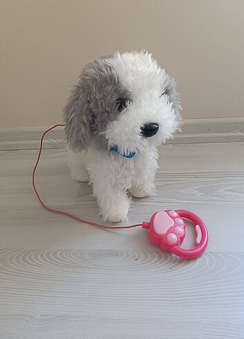 Peluş sesli kopek