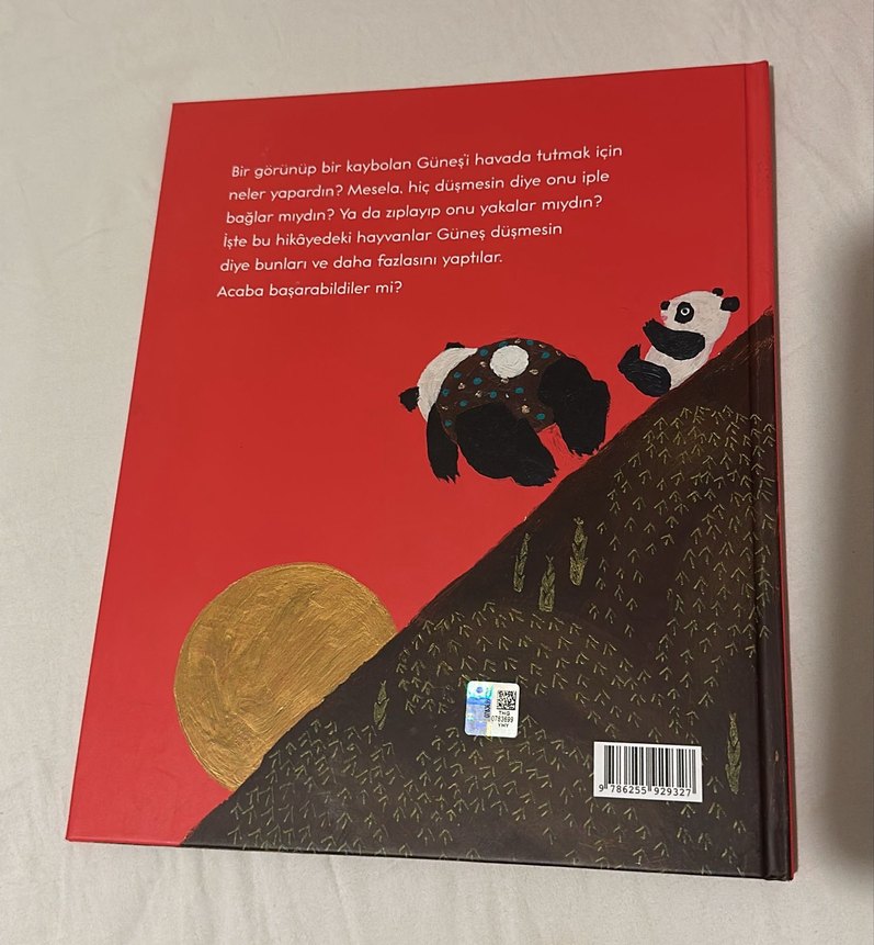 Güneş Nereye Kayboldu? Çocuk Kitabı - Görsel 2