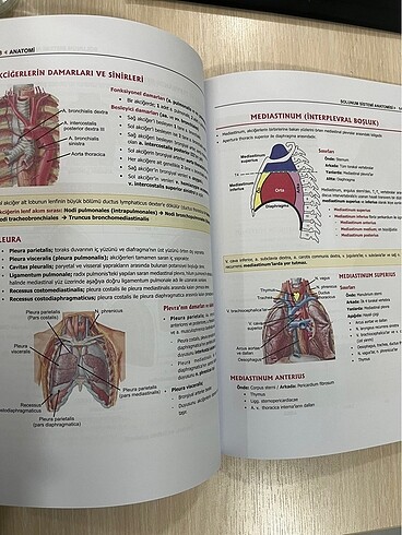  tusdata prospektus anatomi