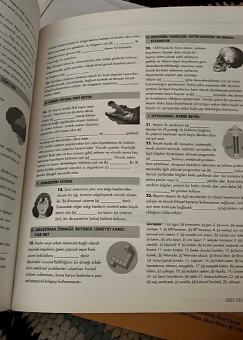 Psikoloji'ye Giriş Kitabı - Rod Plotnik