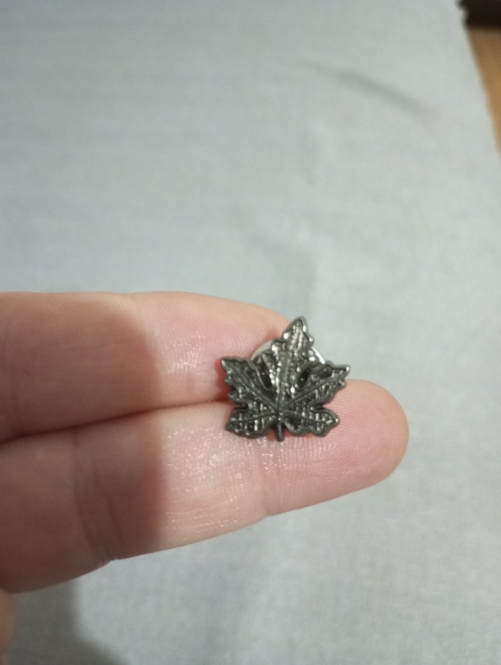 Gri Vintage Yaprak Broş rozet - Görsel 2