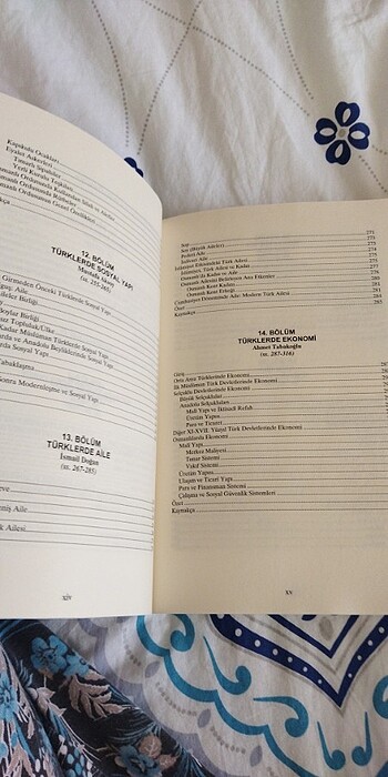 Türk Tarihi ve Kültürü - Görsel 6