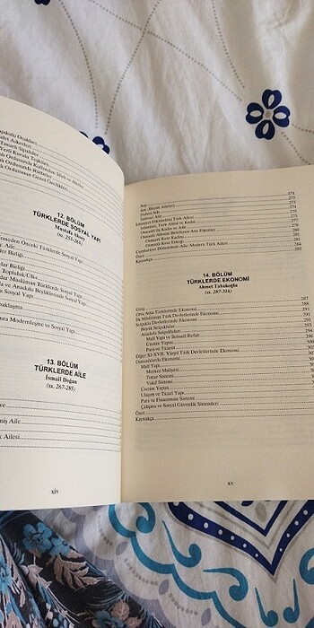 Türk Tarihi ve Kültürü - Görsel 7