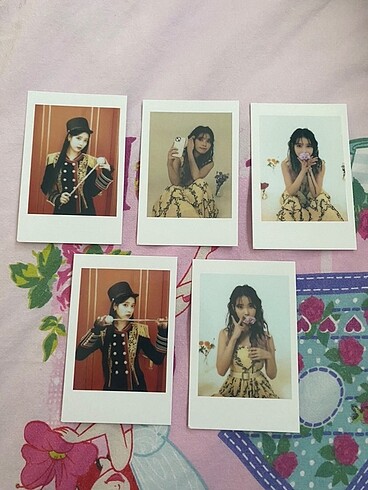 iu konser pc set for flower