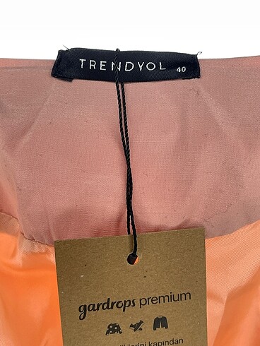 40 Beden pembe Renk Trendyol & Milla Trenchcoat %70 İndirimli.
