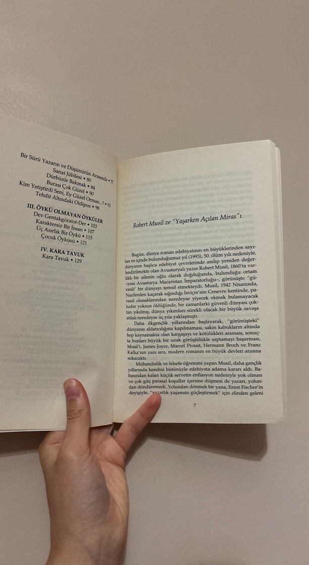 Yaşarken Açılan Miras - Robert Musil - Görsel 5