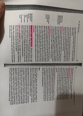 Eğitim Bilimleri Fotokopi - Temel Kavramlar - Görsel 4