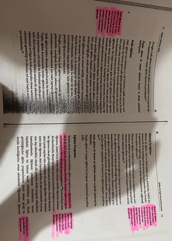 Eğitim Bilimleri Fotokopi - Temel Kavramlar - Görsel 6