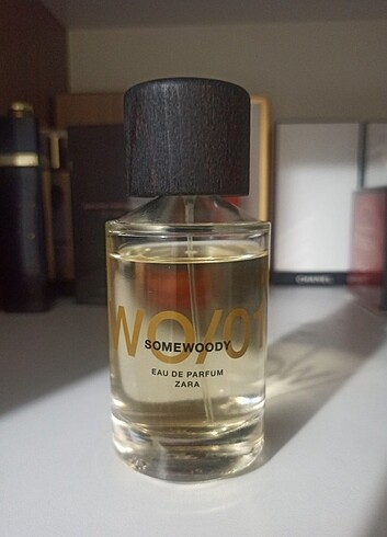 Zara somewoody wo 01