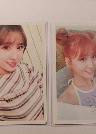 Momo pob 1 