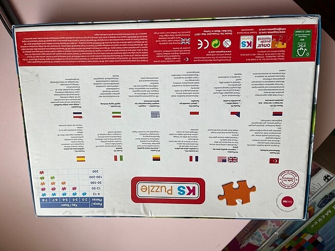 Walt Disney World Disney puzzle