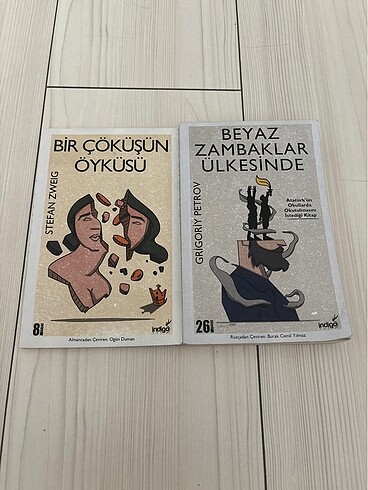 BEYAZ ZAMBAKLAR ÜLKESİNDE / BİR ÇÖKÜŞÜN ÖYKÜSÜ