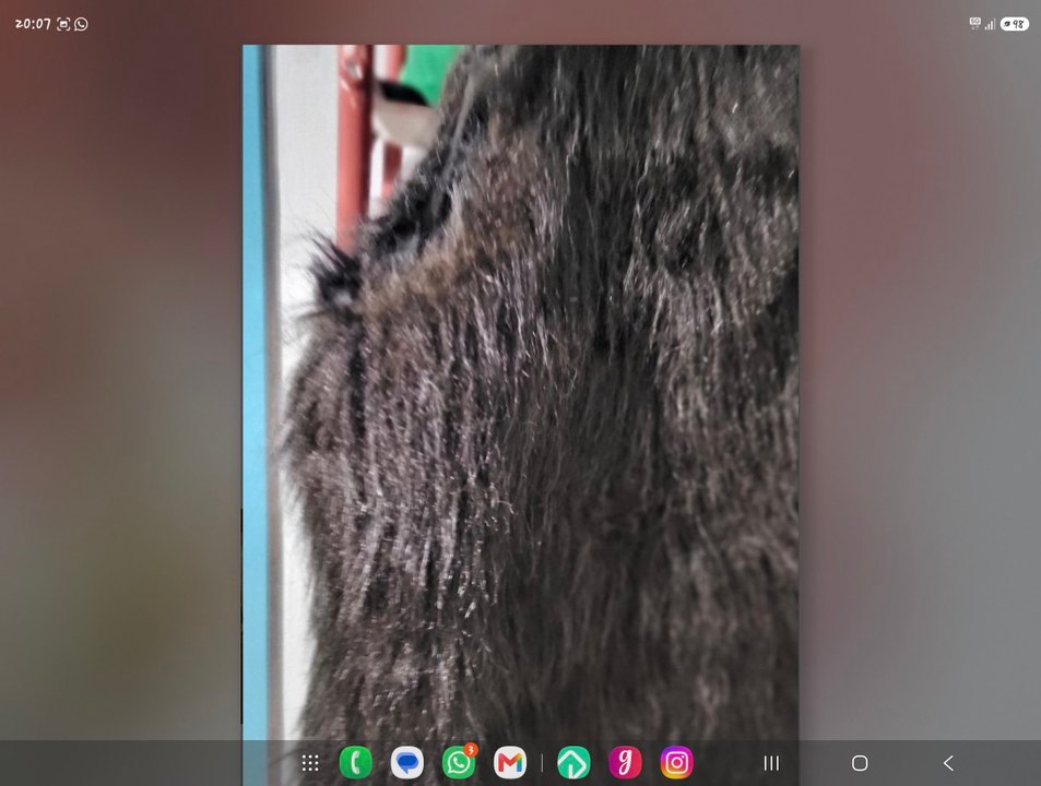 Koyu Kahverengi Peluş Kolsuz Yelek — görsel 4/9