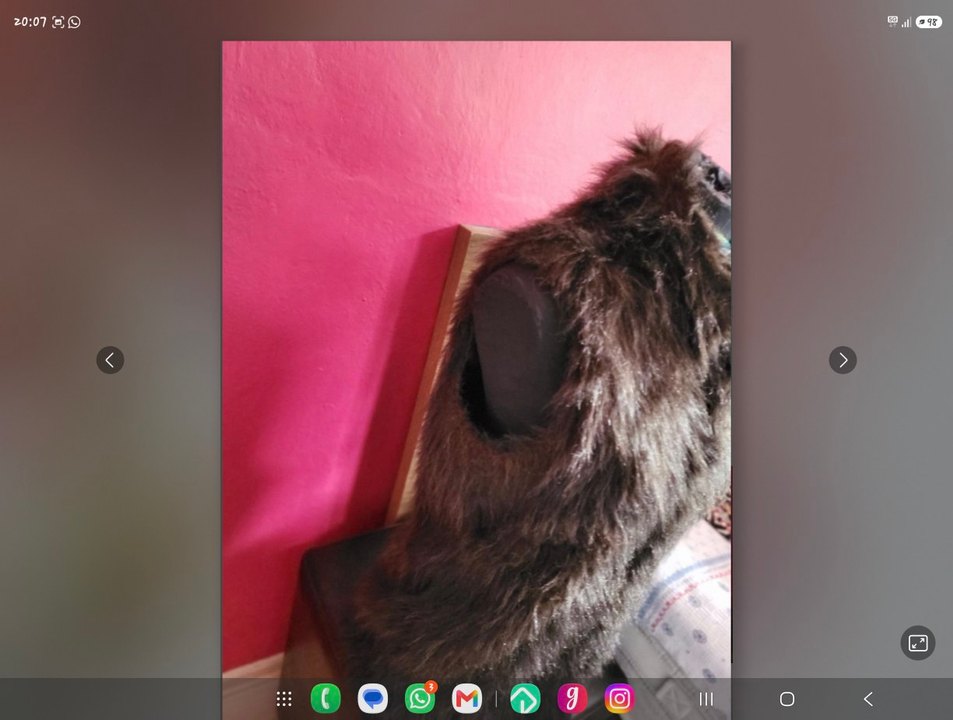 Koyu Kahverengi Peluş Kolsuz Yelek — görsel 6/9
