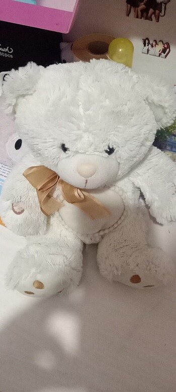 Peluş ayi