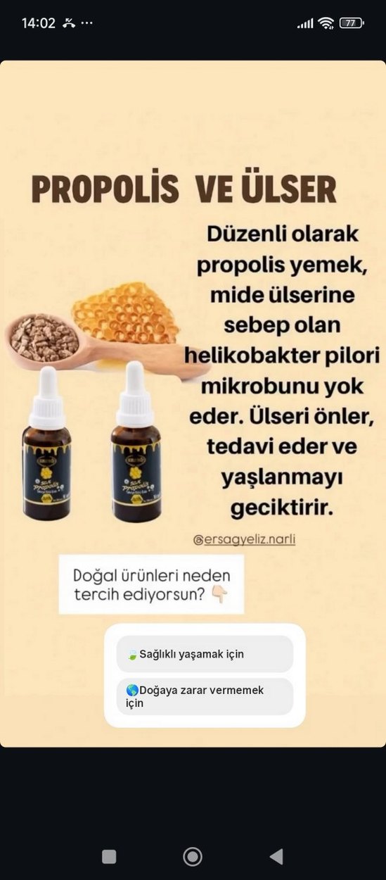 propolis sıvı gıda takviyesidir. - Görsel 2