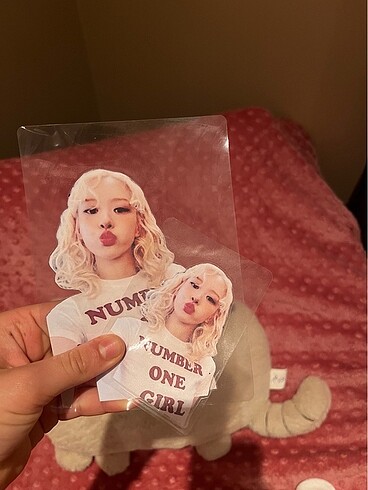 Rosie album transparent pc set