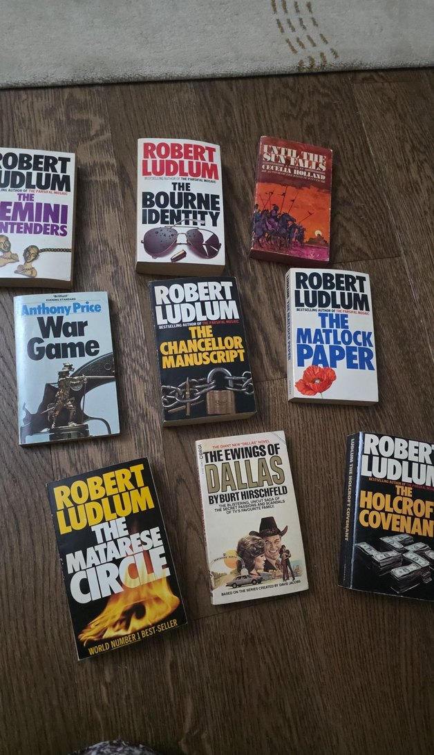 Çeşitli Roman Kitapları Seti - Görsel 2