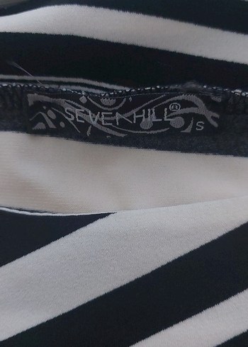 Zebra Desenli Uzun Pileli elbise - Görsel 3