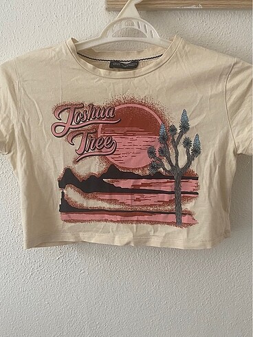 quzu crop top