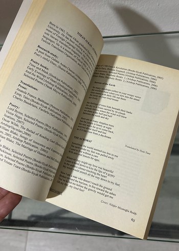 Şiir Her Yerdedir - Dünya Şiir Ustaları Kitabı - Görsel 4