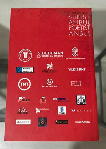 Şiir Her Yerdedir - Dünya Şiir Ustaları Kitabı - Görsel 2