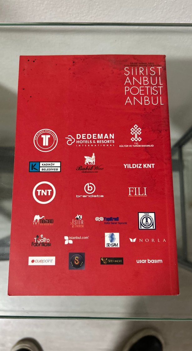 Şiir Her Yerdedir - Dünya Şiir Ustaları Kitabı - Görsel 2