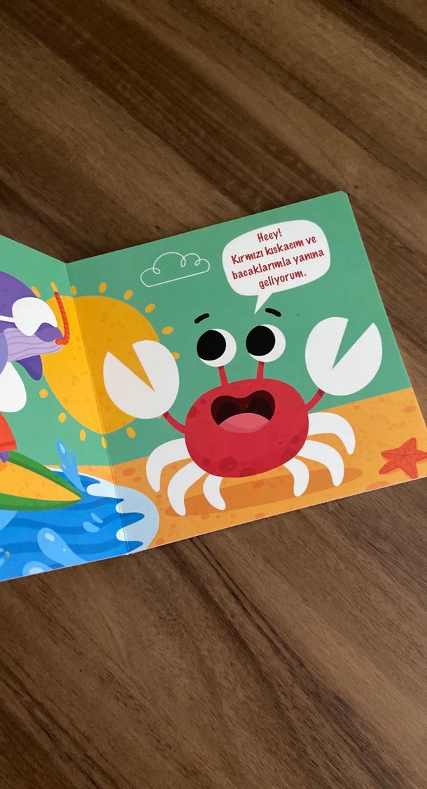 Doğa Mevsimler Oyun Hamuru Kitabı - Görsel 4