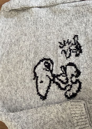 Lcw snoopy Gri Erkek Çocuk Örgü Kazak - Görsel 4