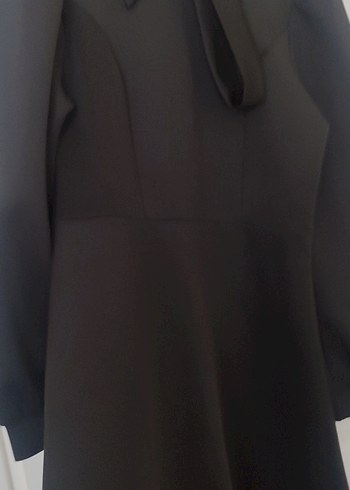 Adil Işık universal