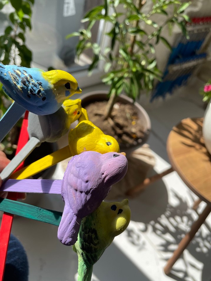 Renkli Kuş Dekoratif Figürleri - Görsel 2