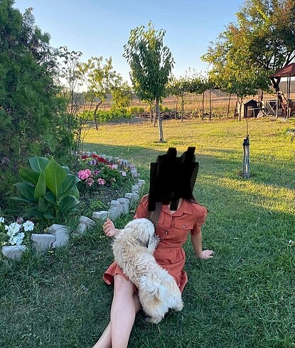 Dilvin Dilvin günlük elbise
