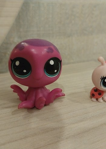 miniş