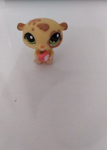 Miniş