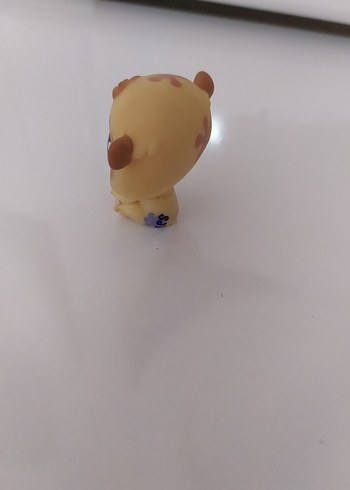  Miniş