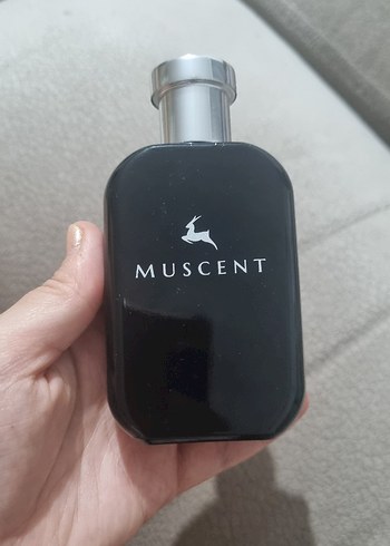 MUSCENT n401