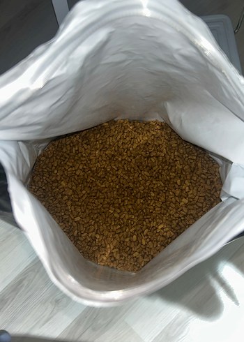 Purina Pro Plan Yetişkin Kısırlaştırılmış Kedi Maması 1+ 10 kg