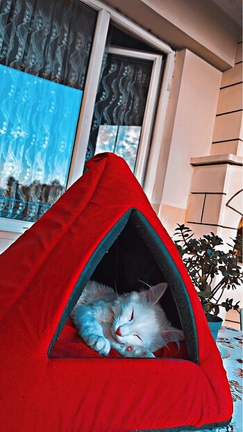 Pitamit Kedi Yatağı Yuvası | İçi Minderli