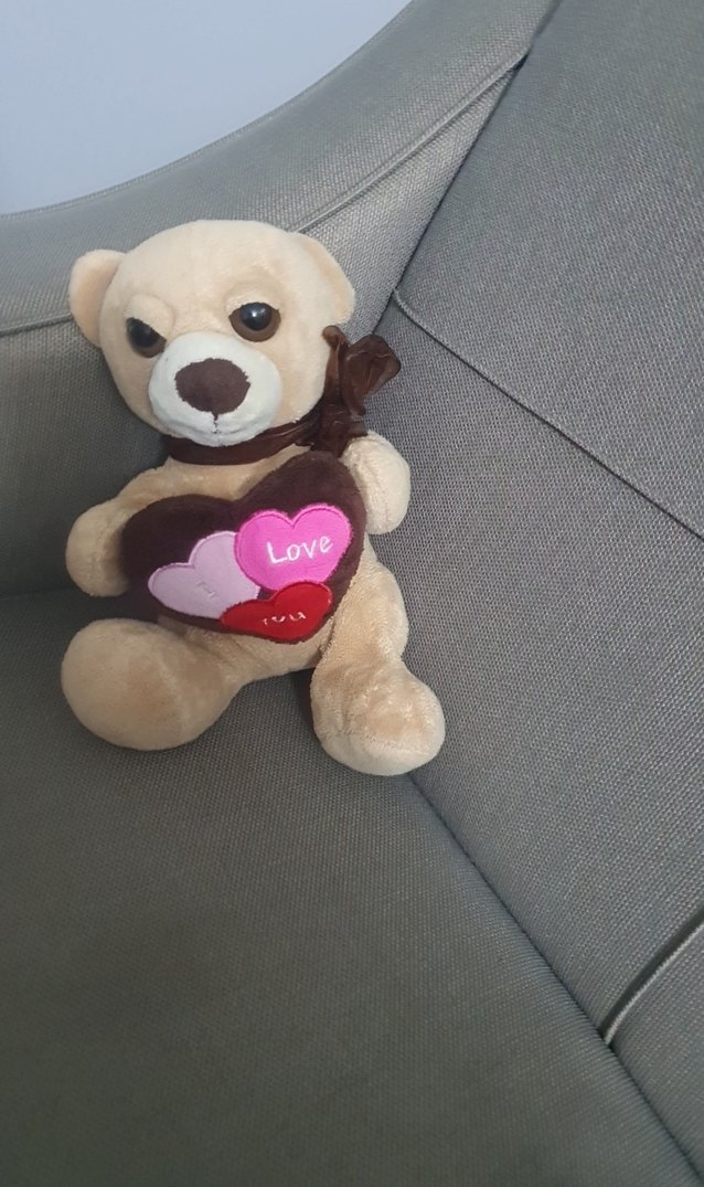 Açık Kahverengi Peluş Ayı Oyuncak - Görsel 3