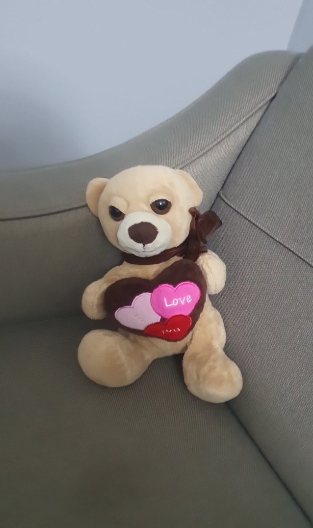 Açık Kahverengi Peluş Ayı Oyuncak - Görsel 2