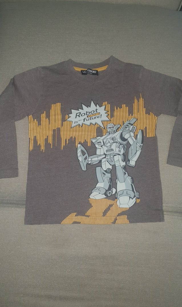 Gri Baskılı Erkek Sweatshirt - Görsel 2