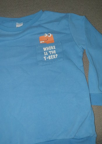 Mavi Erkek Çocuk Baskılı Sweatshirt - Görsel 4