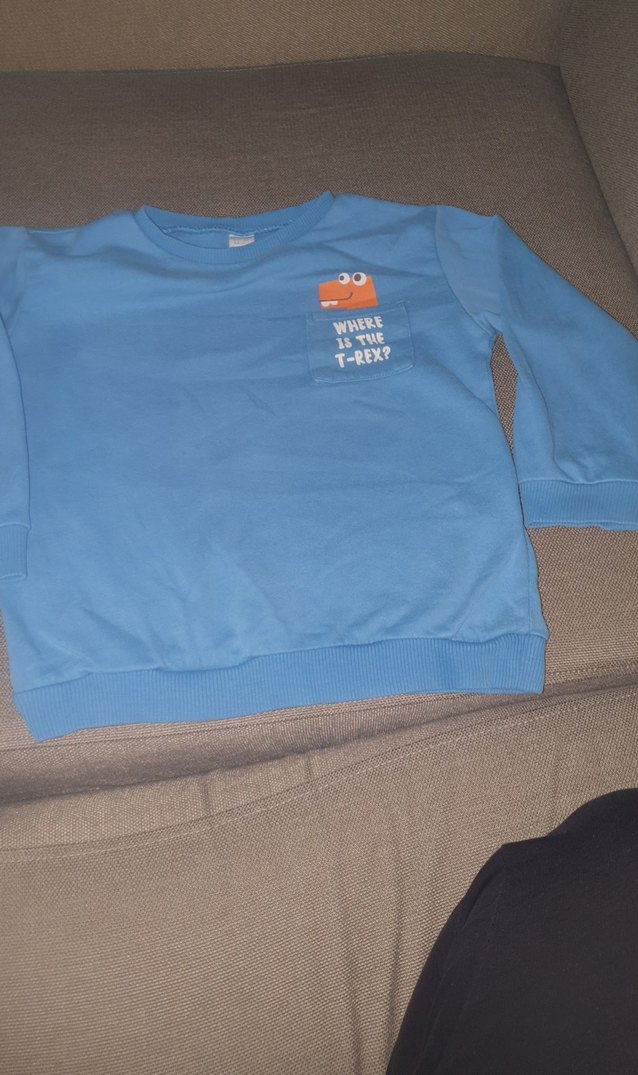 Mavi Erkek Çocuk Baskılı Sweatshirt - Görsel 5