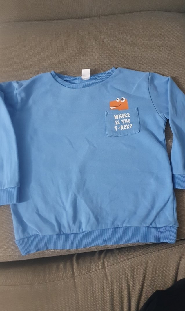 Mavi Erkek Çocuk Baskılı Sweatshirt - Görsel 2